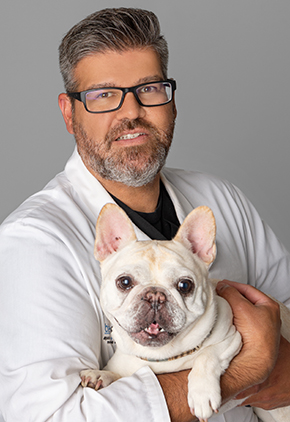 Dr. David Wilson